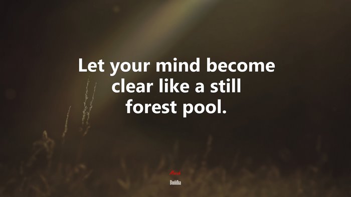 Let your mind become clear like a still forest pool. | Buddha quote