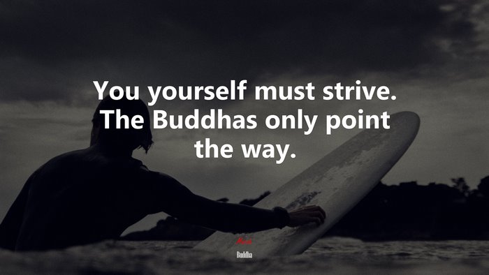 You yourself must strive. The Buddhas only point the way. | Buddha quote