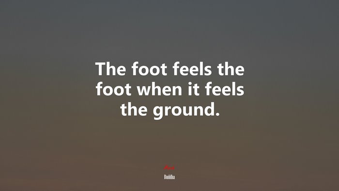 The foot feels the foot when it feels the ground. | Buddha quote