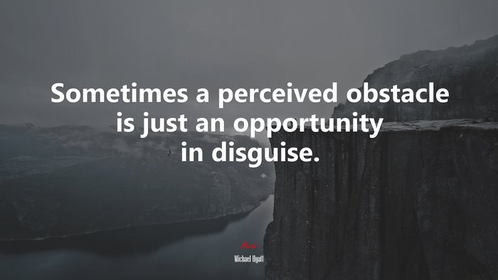 Sometimes a perceived obstacle is just an opportunity in disguise. | Michael Hyatt quote