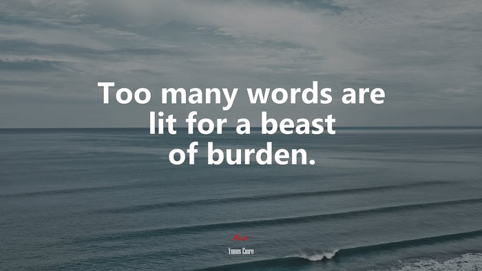 Too many words are lit for a beast of burden. | Yunus Emre quote