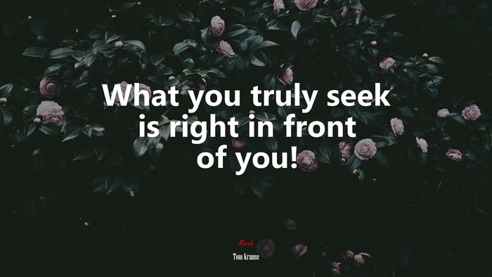 What you truly seek is right in front of you! | Tom Krause quote