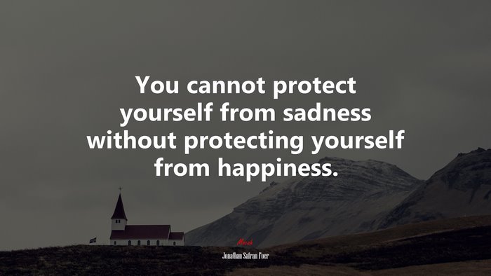 You cannot protect yourself from sadness without protecting yourself from happiness. | Jonathan Safran Foer quote