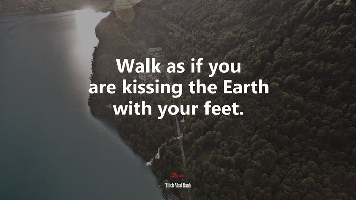 Walk as if you are kissing the Earth with your feet. | Thich Nhat Hanh quote