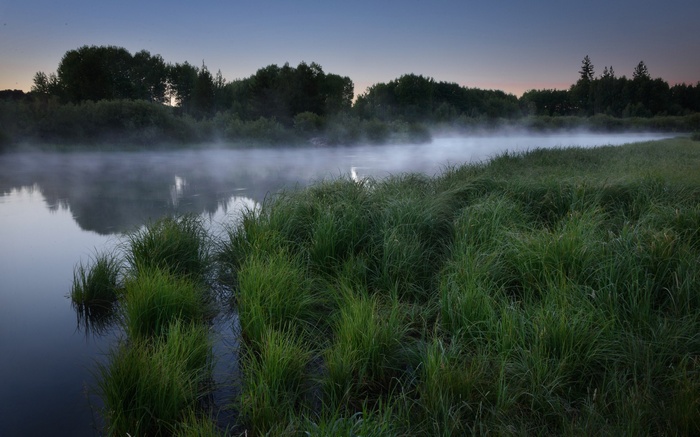 Misty river at dawn with green grass