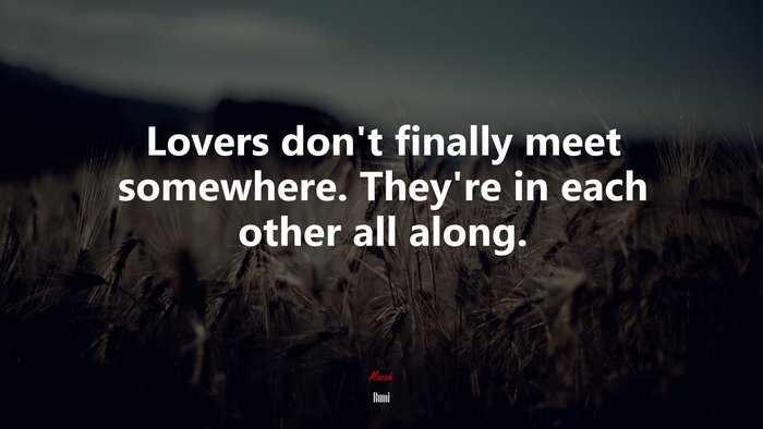 Lovers don’t finally meet somewhere. They’re in each other all along. | Rumi quote