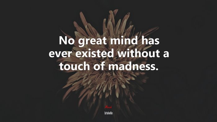 No great mind has ever existed without a touch of madness. | Aristotle quote