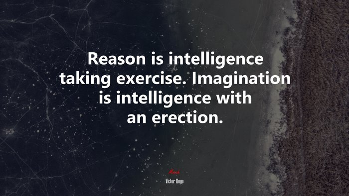 Reason is intelligence taking exercise. Imagination is intelligence with an erection. | Victor Hugo quote