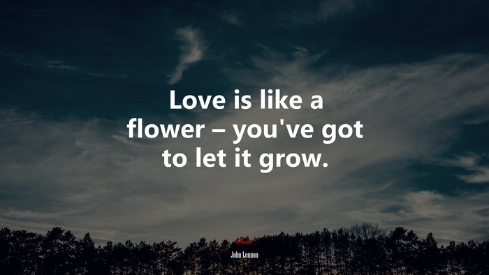 Love is like a flower – you’ve got to let it grow. | John Lennon quote