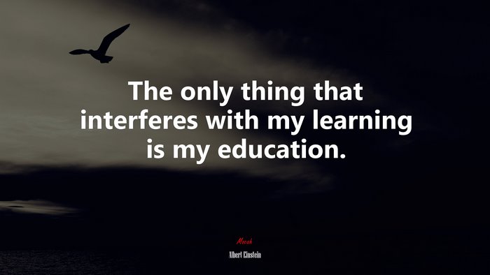 The only thing that interferes with my learning is my education. | Albert Einstein quote