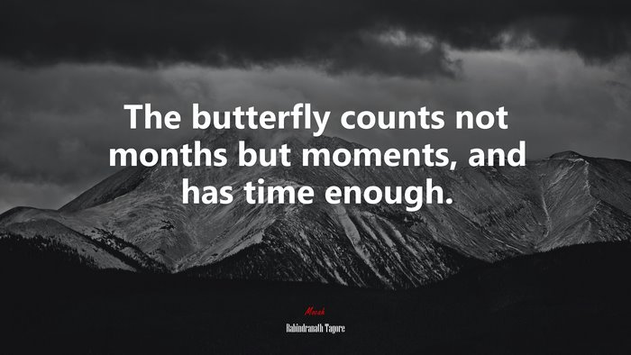 The butterfly counts not months but moments, and has time enough. | Rabindranath Tagore quote