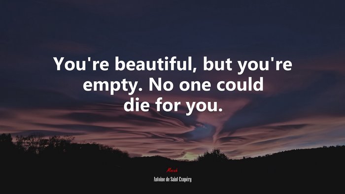 You’re beautiful, but you’re empty. No one could die for you. | Antoine de Saint-Exupéry quote