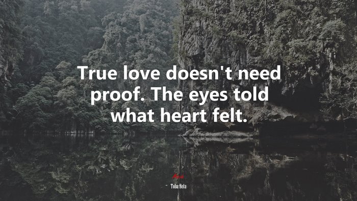 True love doesn’t need proof. The eyes told what heart felt. | Toba Beta quote