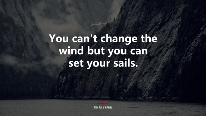 You can’t change the wind but you can set your sails. | Billie Joe Armstrong quote