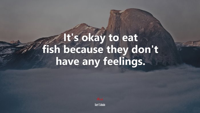 It’s okay to eat fish because they don’t have any feelings. | Kurt Cobain quote