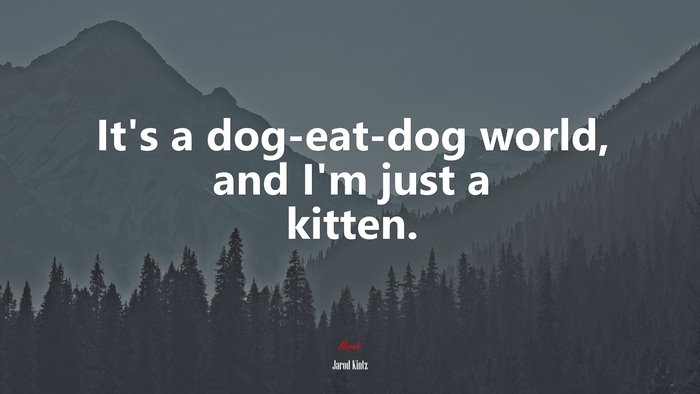 It’s a dog-eat-dog world, and I’m just a kitten. | Jarod Kintz quote