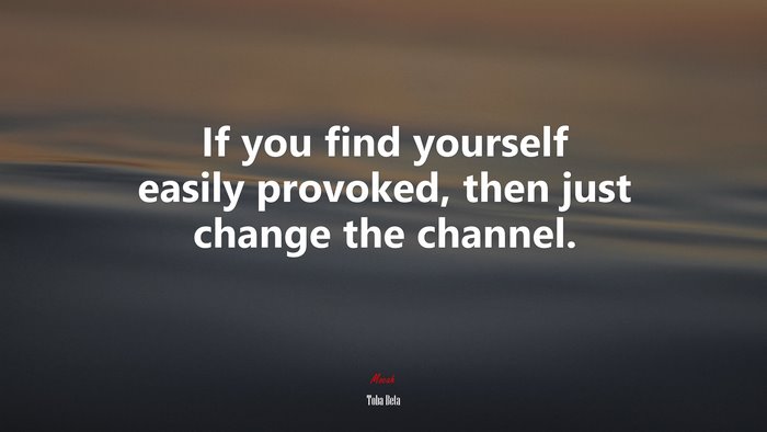 If you find yourself easily provoked, then just change the channel. | Toba Beta quote