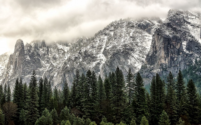 Snow-dusted mountains and evergreen forest under cloudy sky