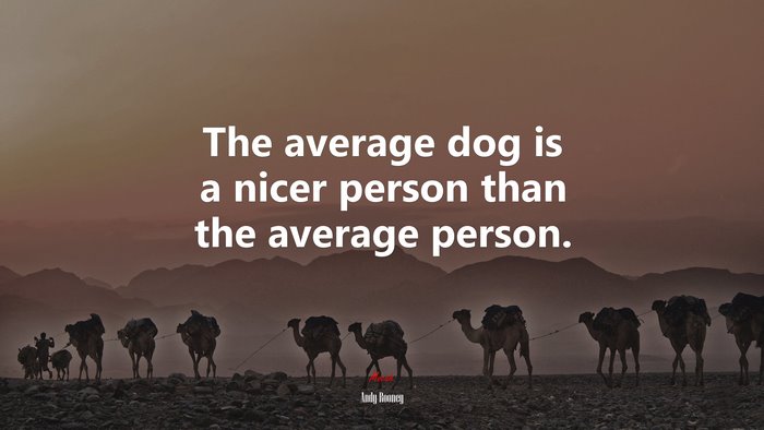The average dog is a nicer person than the average person. | Andy Rooney quote