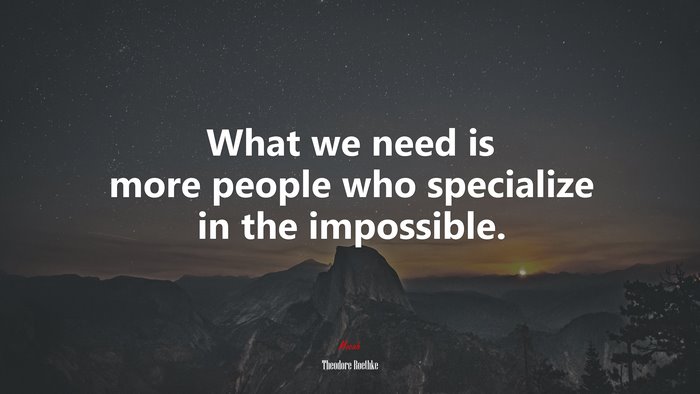 What we need is more people who specialize in the impossible. | Theodore Roethke quote