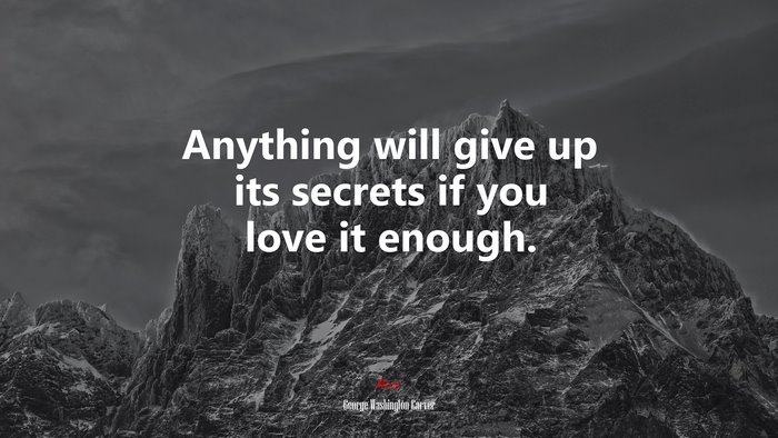 Anything will give up its secrets if you love it enough. | George Washington Carver quote