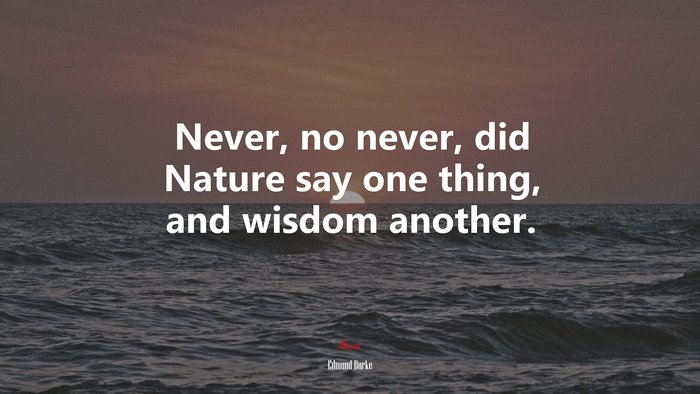 Never, no never, did Nature say one thing, and wisdom another. | Edmund Burke quote