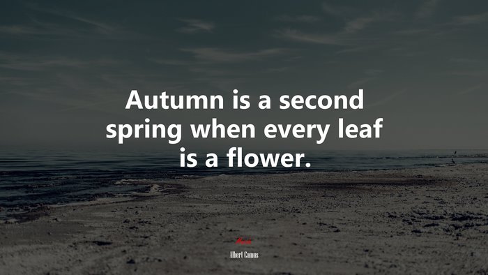 Autumn is a second spring when every leaf is a flower. | Albert Camus quote