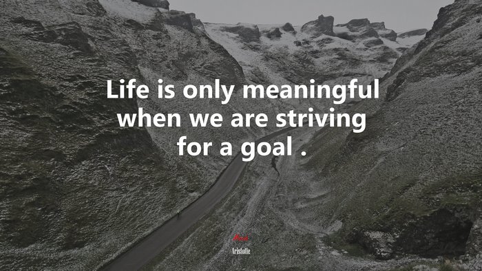 Life is only meaningful when we are striving for a goal . | Aristotle quote