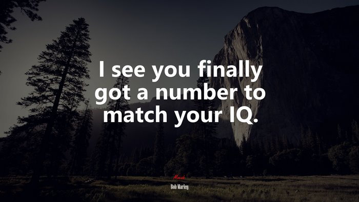 I see you finally got a number to match your IQ. | Bob Marley quote