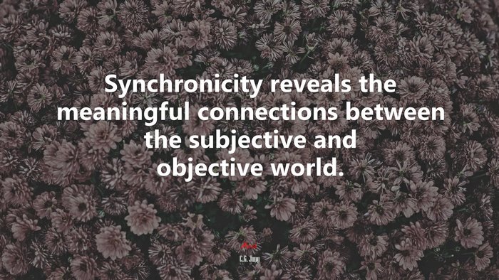 Synchronicity reveals the meaningful connections between the subjective and objective world. | C.G. Jung quote