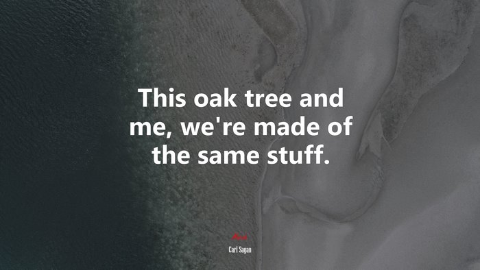 This oak tree and me, we’re made of the same stuff. | Carl Sagan quote