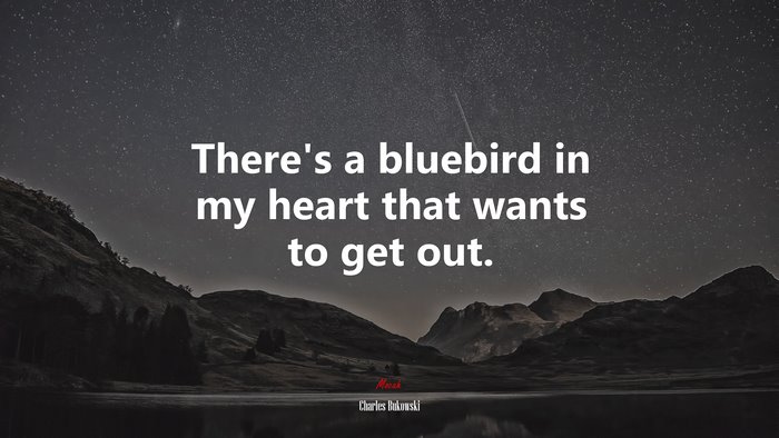 There’s a bluebird in my heart that wants to get out. | Charles Bukowski quote