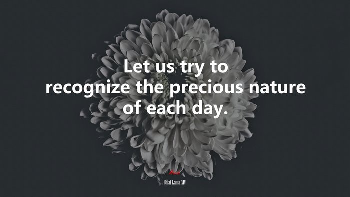 Let us try to recognize the precious nature of each day. | Dalai Lama XIV quote