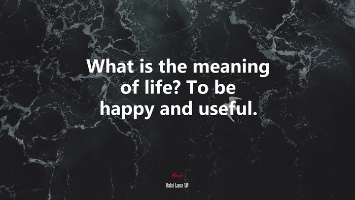 What is the meaning of life? To be happy and useful. | Dalai Lama XIV quote
