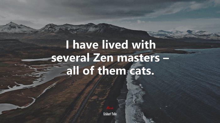 I have lived with several Zen masters – all of them cats. | Eckhart Tolle quote