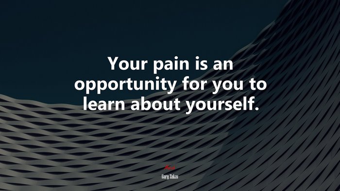 Your pain is an opportunity for you to learn about yourself. | Gary Zukav quote