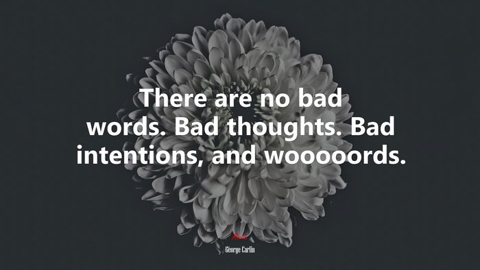 There are no bad words. Bad thoughts. Bad intentions, and wooooords. | George Carlin quote
