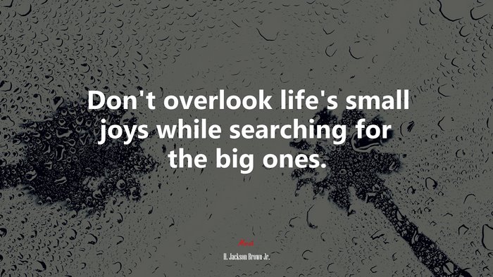 Don’t overlook life’s small joys while searching for the big ones. | H. Jackson Brown Jr. quote