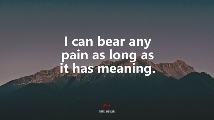 I can bear any pain as long as it has meaning. | Haruki Murakami quote