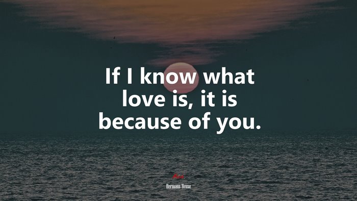 If I know what love is, it is because of you. | Hermann Hesse quote