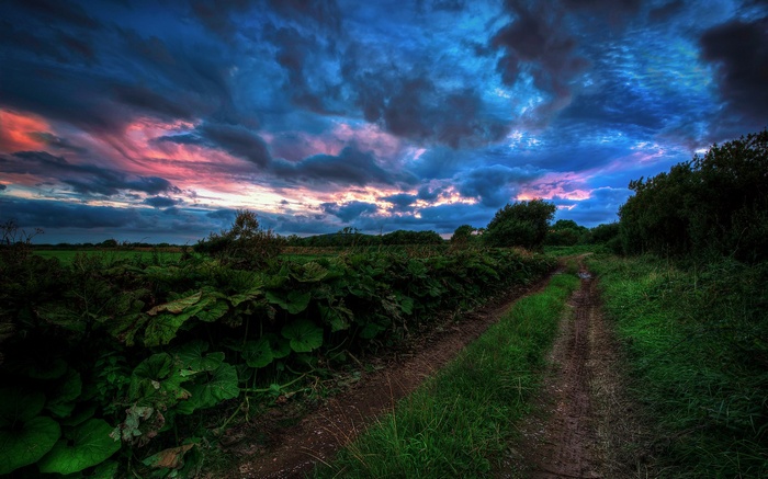 Dirt path through a field under a dramatic sunset sky