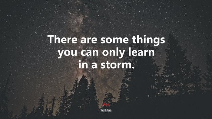 There are some things you can only learn in a storm. | Joel Osteen quote