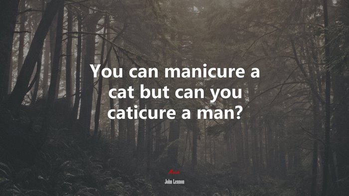 You can manicure a cat but can you caticure a man? | John Lennon quote