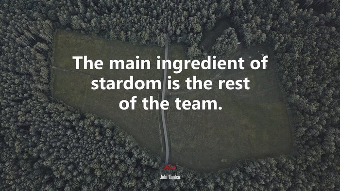 The main ingredient of stardom is the rest of the team. | John Wooden quote