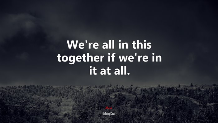 We’re all in this together if we’re in it at all. | Johnny Cash quote