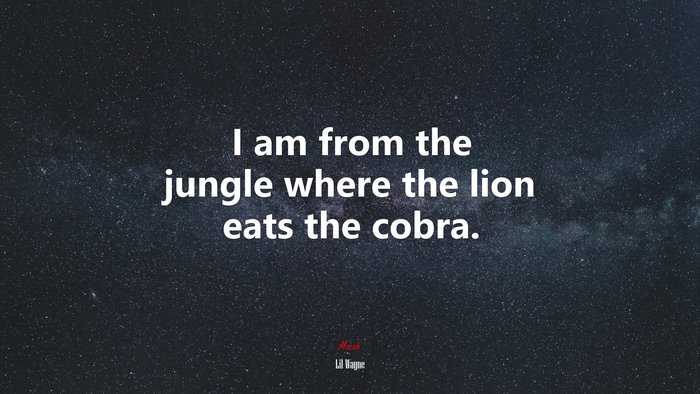 I am from the jungle where the lion eats the cobra. | Lil Wayne quote
