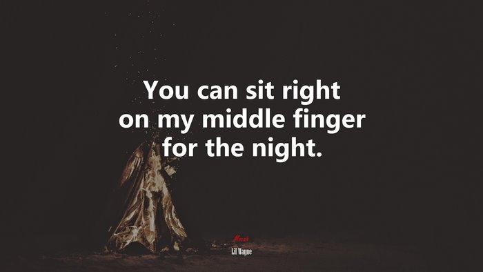 You can sit right on my middle finger for the night. | Lil Wayne quote