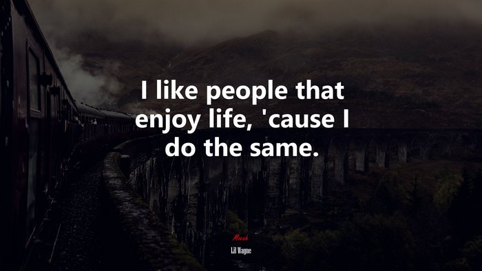 I like people that enjoy life, ’cause I do the same. | Lil Wayne quote