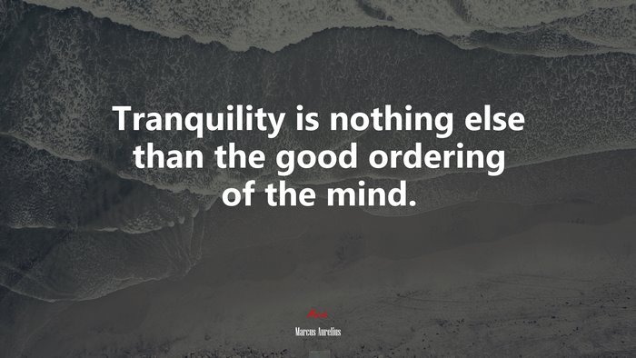 Tranquility is nothing else than the good ordering of the mind. | Marcus Aurelius quote