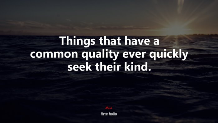 Things that have a common quality ever quickly seek their kind. | Marcus Aurelius quote